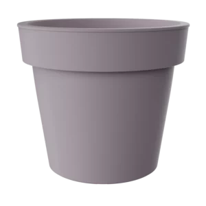 Saksija Melrose fi50 sa prstenom